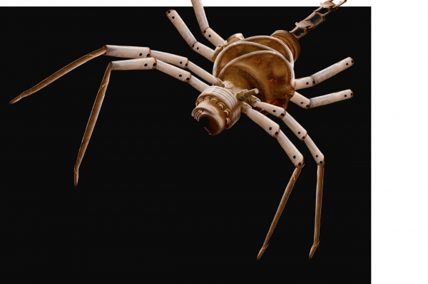 Creation of Spider trinket: Step 12